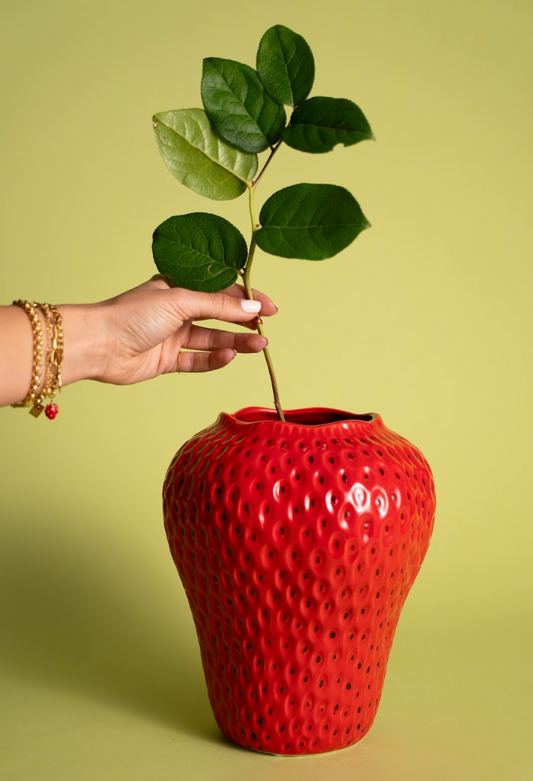 Strawbella Red