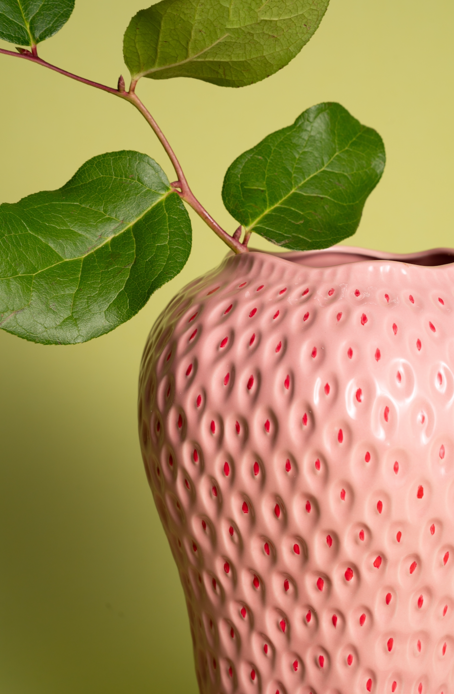 Strawbella Pink