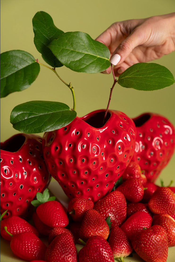 Strawbibi Red
